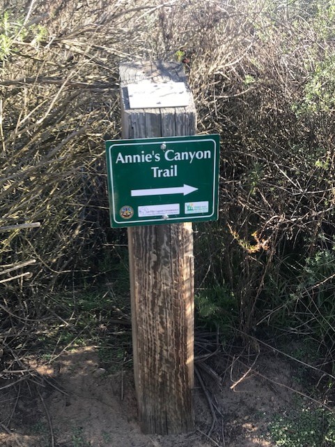 Annies Trail1